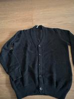CIRCOLO 1901 Heren Vest, Zwart, Overige maten, Ophalen of Verzenden, Circolo 1901