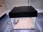 Sera Scapercube 48L, Ophalen, Zo goed als nieuw, Leeg aquarium
