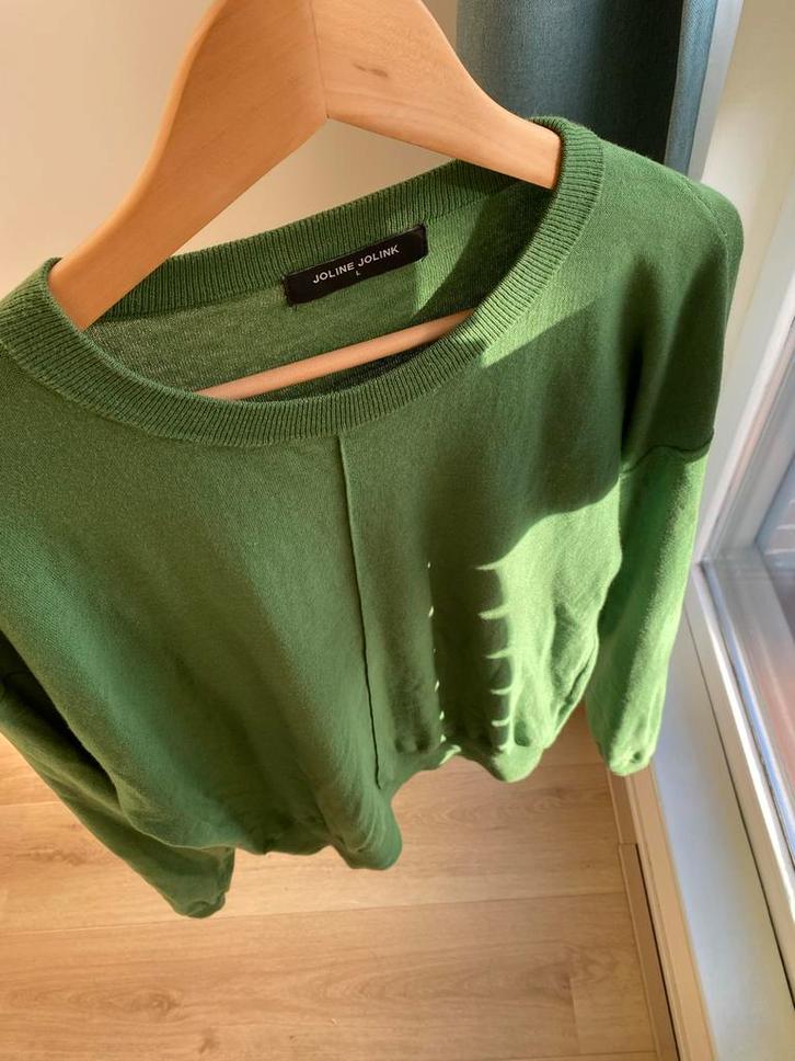 Groene trui Joline Jolink L, Kleding | Dames, Truien en Vesten, Gedragen, Maat 42/44 (L), Groen, Verzenden