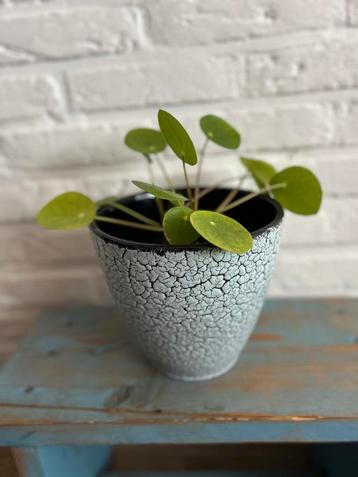 Vintage Jasba Bloempot beschikbaar voor biedingen