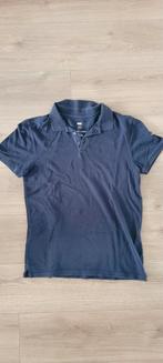 WE polo (maat M), Kleding | Heren, Polo's, WE, Ophalen of Verzenden, Zo goed als nieuw, Maat 48/50 (M)