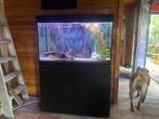 Aquarium met kast, Ophalen, Zo goed als nieuw, Leeg aquarium
