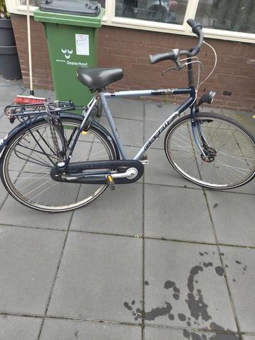 Gazelle rocca beschikbaar voor biedingen