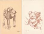 2x Kennemer Dierentehuis Haarlem Illust. Heddy Edelkoort., Verzenden, 1960 tot 1980, Ongelopen, Noord-Holland