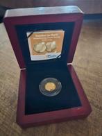 Gouden 10 Florin Aruba 2013 - Nieuwe Koning, Postzegels en Munten, Munten | Nederland, Koningin Beatrix, Losse munt, 10 gulden