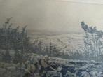 Oude ets boslandschap in lijst, Antiek en Kunst, Ophalen of Verzenden