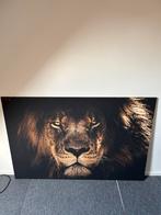 Canvas schilderij leeuw, Huis en Inrichting, Woonaccessoires | Schilderijen, Tekeningen en Foto's, Ophalen of Verzenden, Zo goed als nieuw