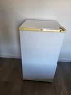 Proline Koelkast met vriesvakje - Compact en Energiezuinig, Ophalen of Verzenden, Minder dan 75 liter, Energieklasse A of zuiniger