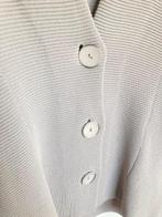 Anneclaire lichtgrijs vest grofgebreid blazer IT 44/M, Maat 38/40 (M), Info@anneclaire.it, Via Privata, 3 12061 Carrù (Cuneo)