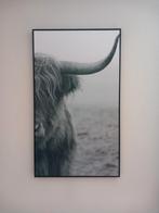 Canvas wisent hooglander bison bizon 117 x 70, Ophalen of Verzenden, Zo goed als nieuw, Schilderij, 75 cm of meer