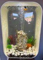 Biorb Life 60 MCR – Wit (60L), Dieren en Toebehoren, Ophalen, Zo goed als nieuw, Gevuld zoetwateraquarium