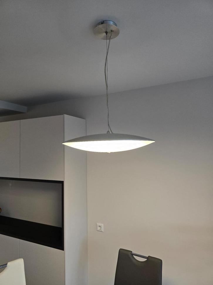 RVS Plafondlamp / Hanglamp, Huis en Inrichting, Lampen | Plafondlampen, Zo goed als nieuw, Glas, Metaal, Ophalen of Verzenden