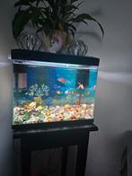 Compleet aquarium, Ophalen, Zo goed als nieuw, Leeg aquarium