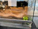 Terrarium breed 90 x 40 x 50 diep, Dieren en Toebehoren, Reptielen en Amfibieën | Toebehoren, Ophalen, Zo goed als nieuw
