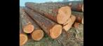 Douglas planken en balken, Ophalen, Nieuw, 250 cm of meer, Balken