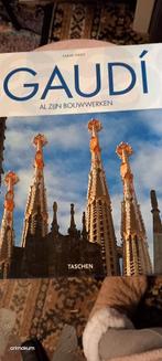 Gaudi: Architectuur, Genie of Gek? koffietafelboek., Ophalen of Verzenden, Zo goed als nieuw, Architectuur algemeen