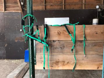 2 span mentuig mini shet beschikbaar voor biedingen