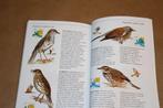 Vogels in Europa. Natuurgids. Jim Flegg., Boeken, Ophalen of Verzenden, Zo goed als nieuw, Vogels
