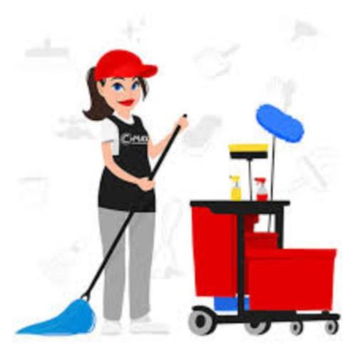 Schoonmaak, Diensten en Vakmensen, Schoonmakers en Glazenwassers