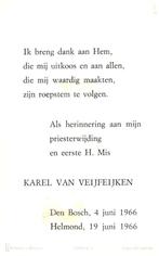 Veijfeijken van Karel Den Bosch 1966 Helmond, Ophalen of Verzenden