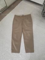 Beige heren broek, maat  32/34 merk DRYKORN, Maat 48/50 (M), Ophalen of Verzenden, Zo goed als nieuw, Drycorn