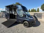 HORSEBOX STX/AKX | 2023 | STALLION | 7.713KM | NIEUWSTAAT, Ophalen, Zo goed als nieuw, Overige materialen, Overige typen
