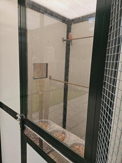 Onwijs mooie Voliere, Dieren en Toebehoren, Vogels | Hokken en Kooien, Zo goed als nieuw, Volière, Aluminium, Ophalen of Verzenden
