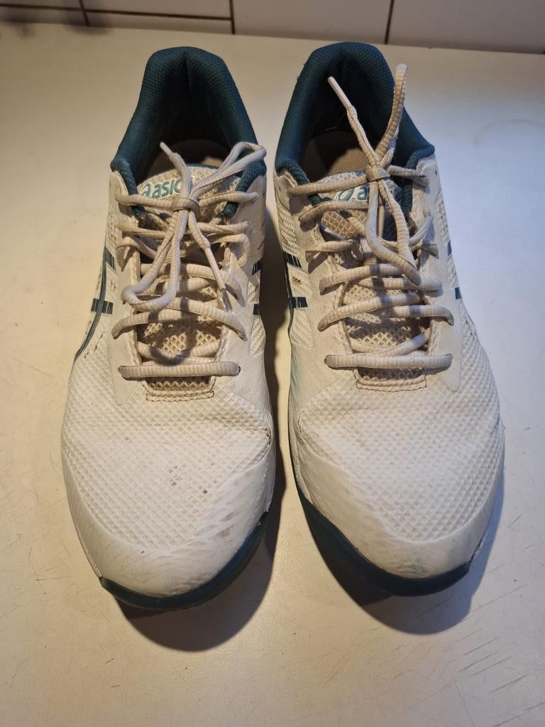 Indoor padel/sportschoenen Oasis, Ophalen of Verzenden, Zo goed als nieuw, Overige typen, Overige merken