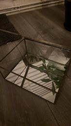 Glazen doos, Ophalen, Gebruikt, Overige typen