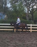 Super leuk 3 jarig merrie, Dieren en Toebehoren, Paarden, Merrie, Dressuurpaard, 3 tot 6 jaar