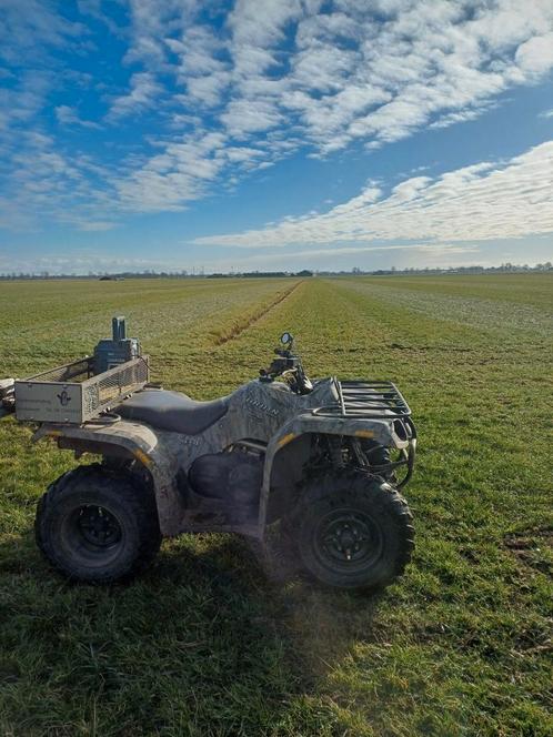 Mollenbestrijding Nooteboom, Diensten en Vakmensen, Ongediertebestrijding