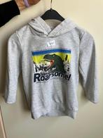 hoodie/trui maat 122-128, Ophalen of Verzenden, Zo goed als nieuw, Jongen, Trui of Vest