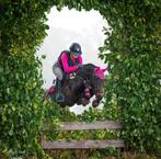 Lieve D pony, Dieren en Toebehoren, Pony's, Merrie, B, D pony (1.37m tot 1.48m), 7 tot 10 jaar