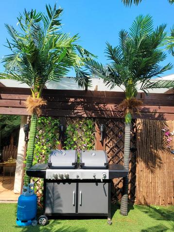Barbecue 2 in 1 gas en houtskool.. beschikbaar voor biedingen