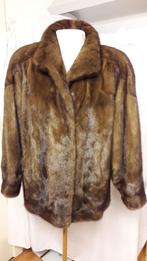 nerts jas< maat 42, Ophalen of Verzenden, Zo goed als nieuw, Maat 42/44 (L), Bruin