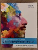 Fundamentals of Human Neuropsychology, Eighth Edition, Boeken, Ophalen of Verzenden, Beta, Nieuw, WO