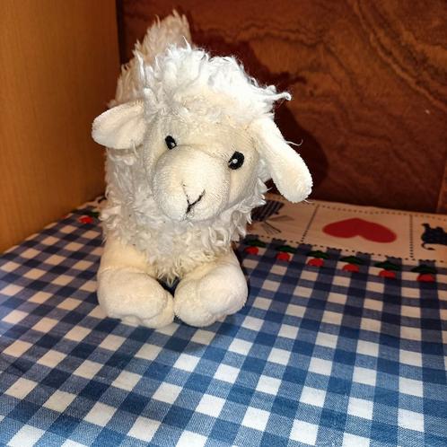 Texel schaap knuffel zacht 19 cm x 16 cm groot, Kinderen en Baby's, Speelgoed | Knuffels en Pluche, Nieuw, Ophalen of Verzenden