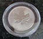 1 oz Maple Leaf platina munt, Ophalen of Verzenden, Losse munt, Noord-Amerika