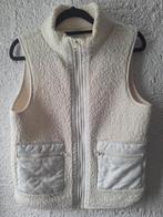 Teddy bodywarmer beige maat S/M nieuwstaat, Kleding | Dames, Bodywarmers, Ophalen of Verzenden, Zo goed als nieuw, Maat 36 (S)
