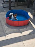 Hondenoppas / opvang Houten., Diensten en Vakmensen, Dieren | Honden | Verzorging, Oppas en Les
