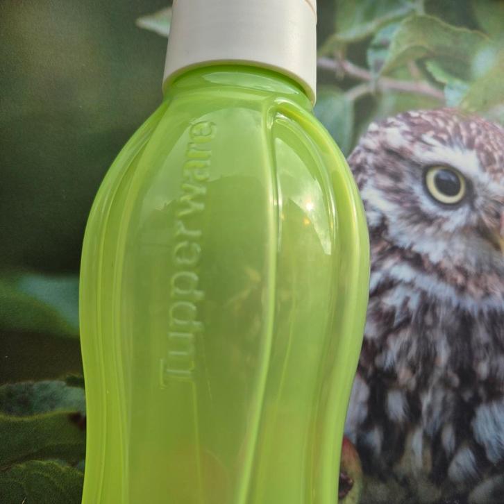 Tupperware Eco Fles - Groen, Huis en Inrichting, Keuken | Keukenbenodigdheden, Zo goed als nieuw, Ophalen of Verzenden