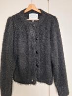 Prachtig zwart vest Fabienne Chapot, Zwart, Ophalen of Verzenden, Zo goed als nieuw, Fabienne Chapot