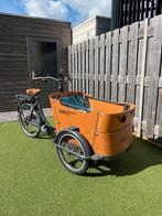 Babboe Curve-E Elektrische Bakfiets, 4 kinderen of meer, Gebruikt, Elektrisch, Ophalen