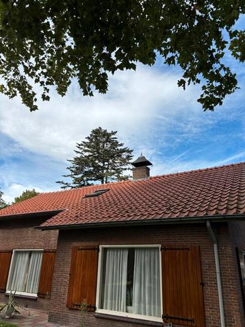 Gebruikte Dakpannen - Steen/Klei beschikbaar voor biedingen