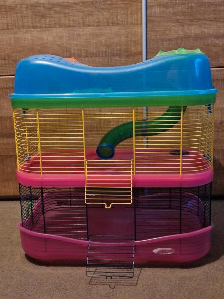 Imac hamsterkooi fantasy, Dieren en Toebehoren, Knaagdieren en Konijnen | Hokken en Kooien, Gebruikt, Hok, Ophalen
