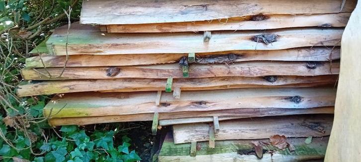 planken hout, Doe-het-zelf en Verbouw, Hout en Planken, Nieuw, Plank, Overige houtsoorten, 250 tot 300 cm, 50 mm of meer, Ophalen