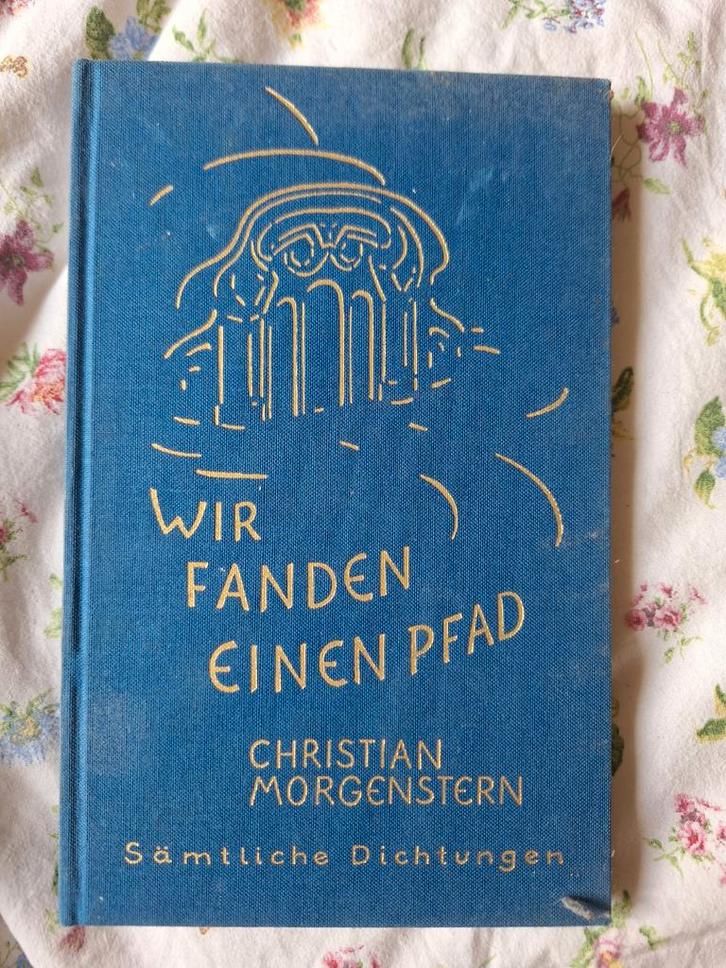 Wir fanden einen Pfad - Christian Morgenstern, Boeken, Gedichten en Poëzie, Gelezen, Eén auteur, Ophalen of Verzenden