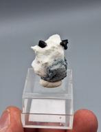 Neptuniet, Natroliet - San Benito, Californië, USA, Ophalen of Verzenden, Mineraal