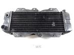 CN250 Spazio 1986 - 2009 Honda Radiator D1-37623, Motoren