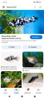 Heeft er iemand wat Molly over voor mij gratis in Wijchen, Tickets en Kaartjes, Eén persoon, Overige typen